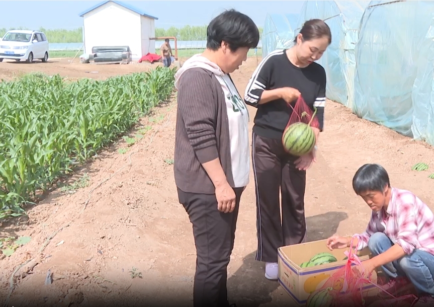 总书记来过我家乡 · 学讲话 践行动 | 习近平总书记考察内蒙古、考察巴彦淖尔重要指示重要讲话精神在五原县引发热烈反响（三）