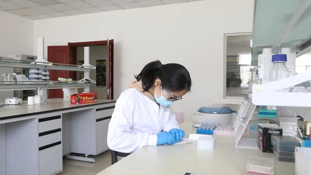 1652087134034096815.jpg 640.jpg