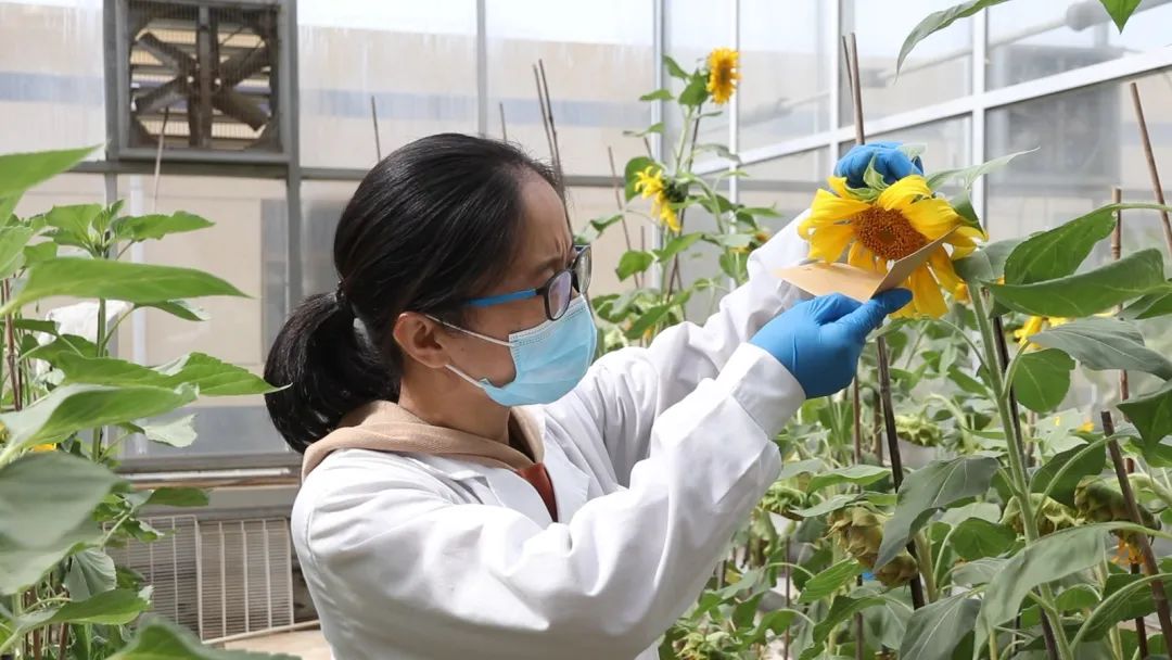 1652087172006051933.jpg 640 (2).jpg