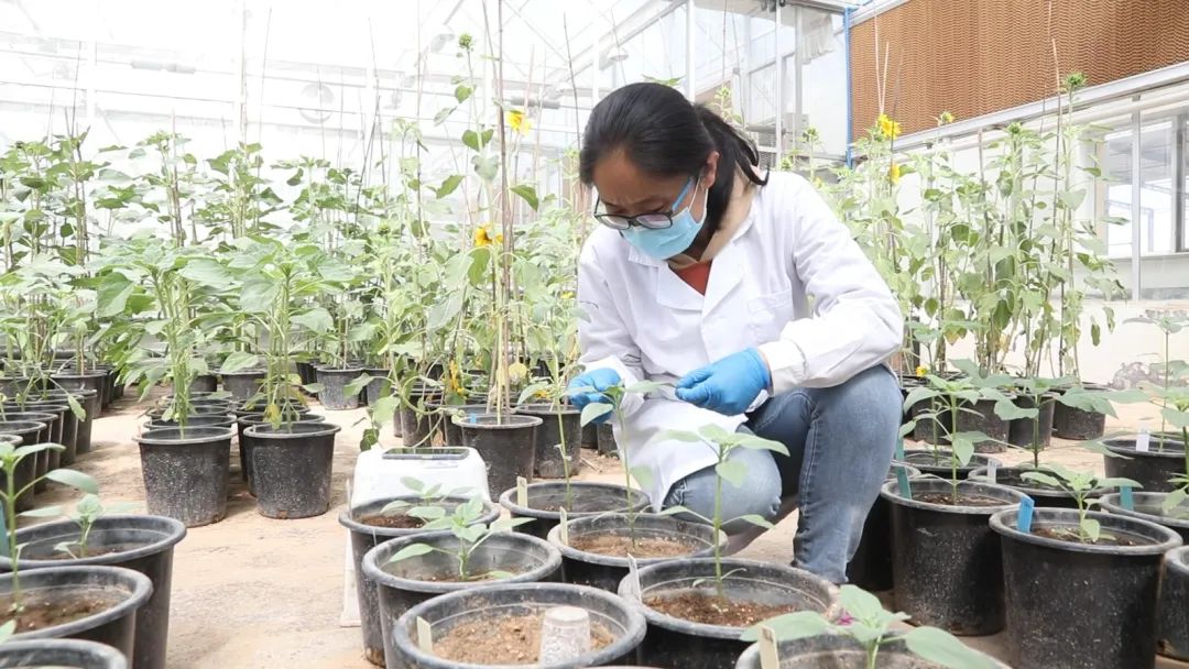 1652087213895071079.jpg 640 (3).jpg