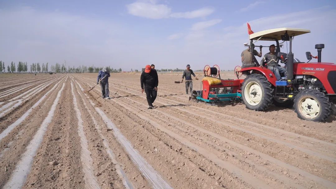 1652944410857028579.jpg 640 (2).jpg