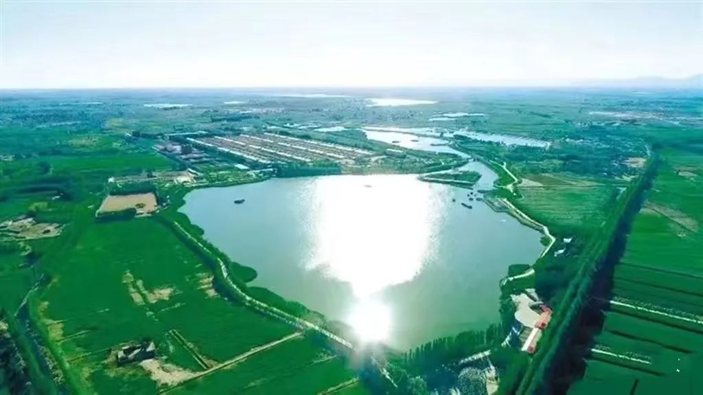 1655883359521088657.jpg 1655883359521088657.jpg