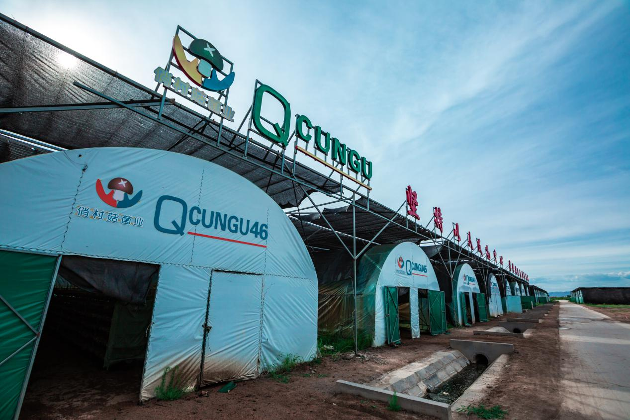 1658224558631040389.png 1658224558631040389.png