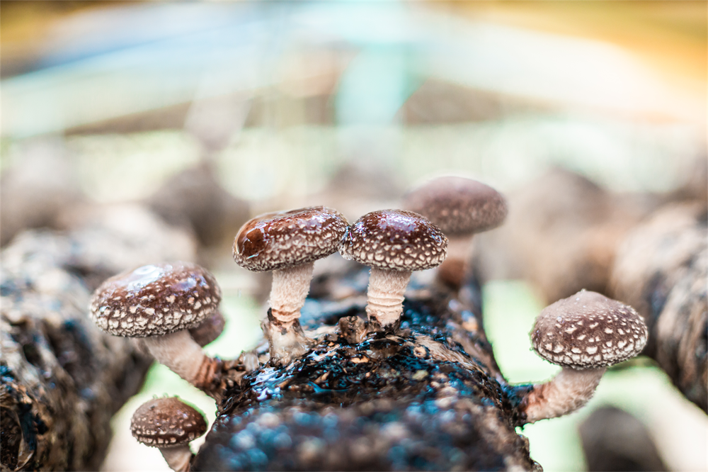 1658224793906031042.png 02.png