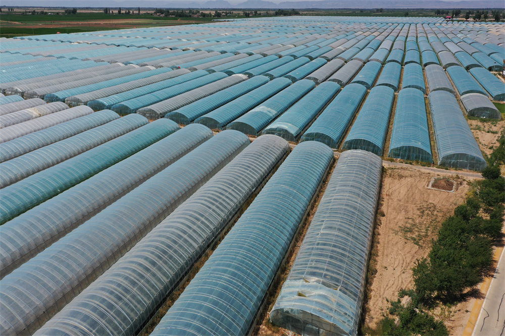 1658225940158051707.png 01.png