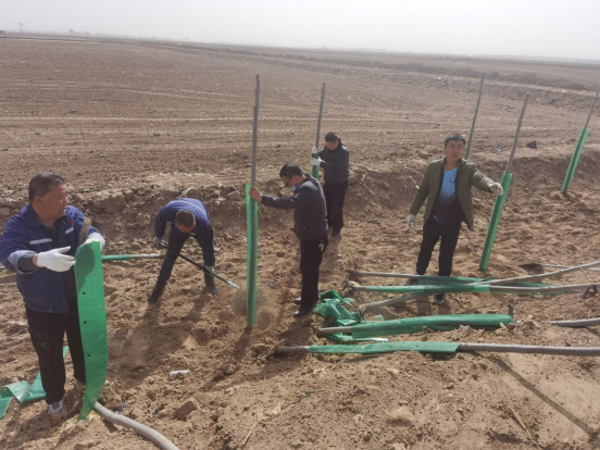 1681444334802047213.jpg 1681444331490.jpg