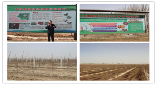 1681897155976034298.png image.png