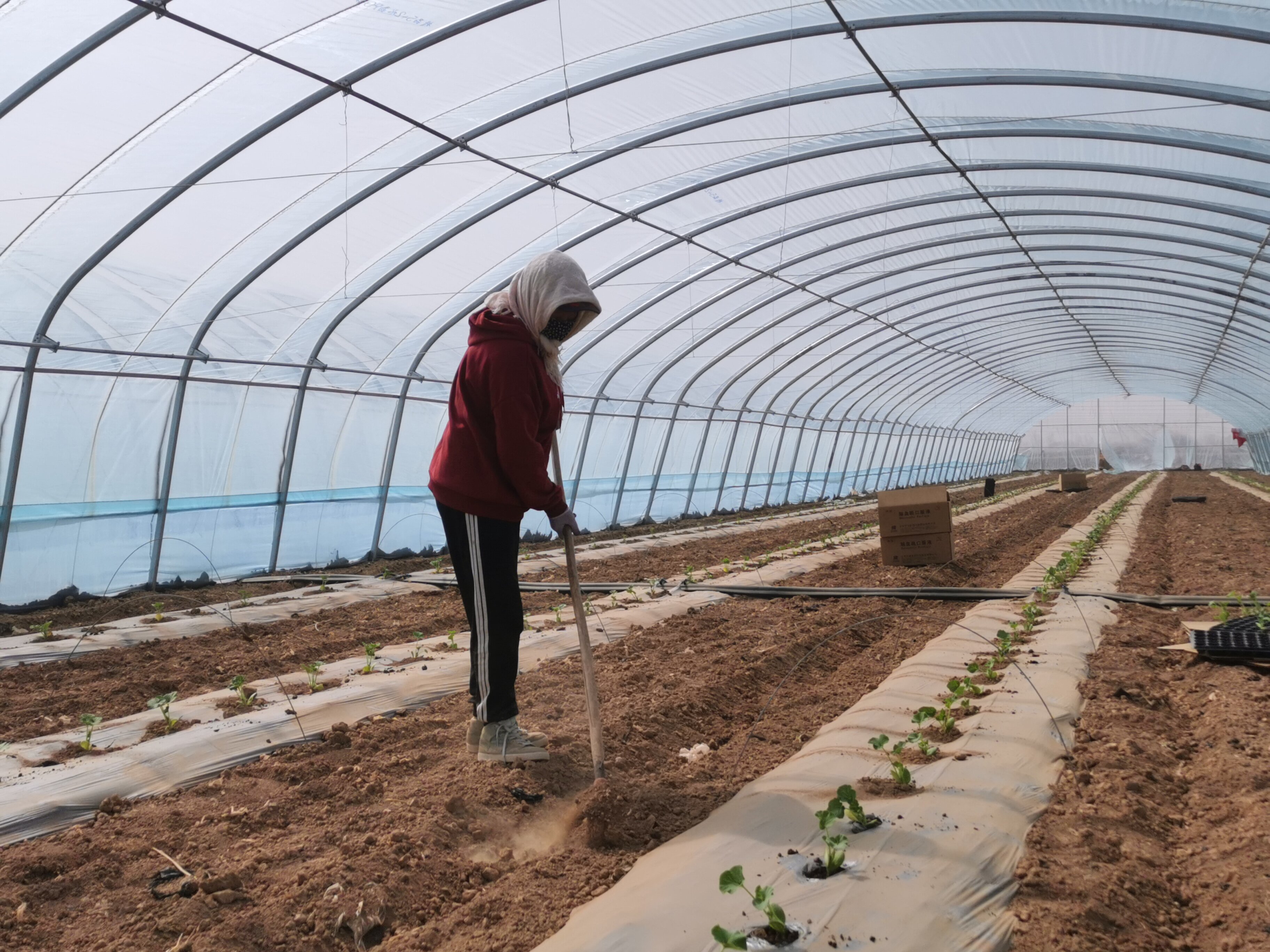 1682044192432020527.jpg 333333_proc.jpg