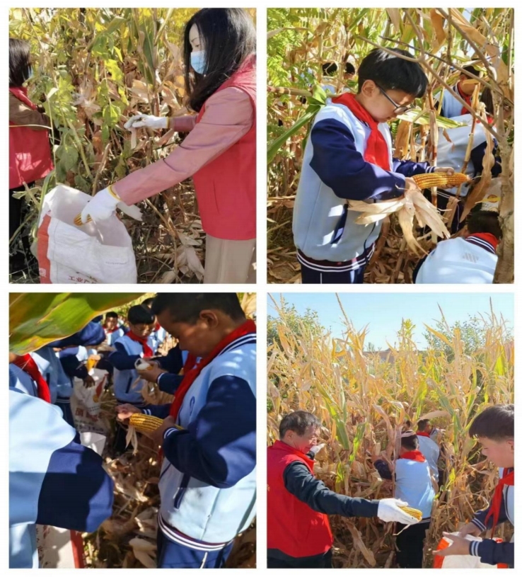 1697444485577060156.jpg 4.jpg