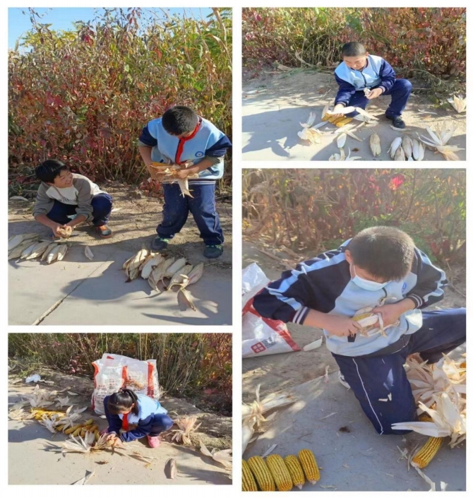 1697444665735063806.jpg 6.jpg