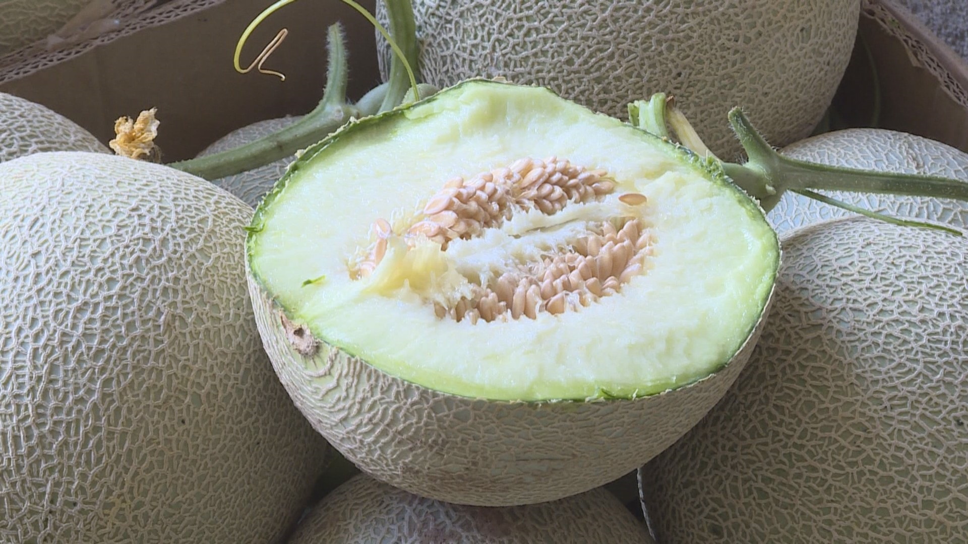 1700473209638066521.jpeg 1700473209638066521.jpeg