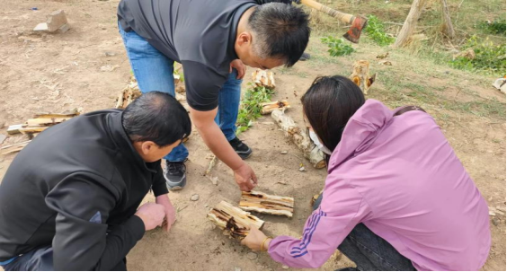 1717140910417074543.png image.png