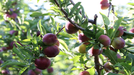 1718440522592052159.png image.png