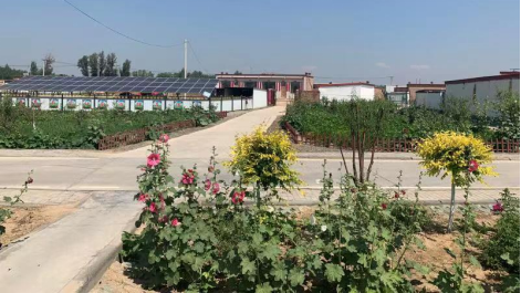 1718440827264077352.png image.png