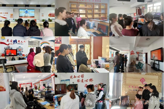 1731375238251022873.png auto