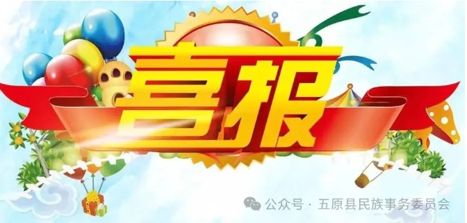 1732675792740008812.png auto