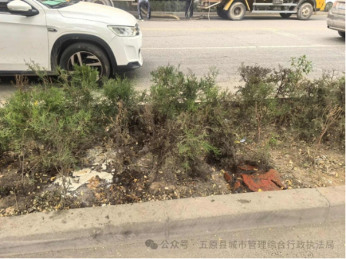 1734404610710027451.png image.png