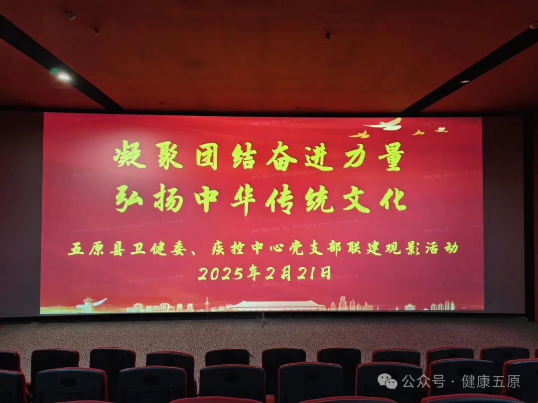 1740380491969047078.png auto