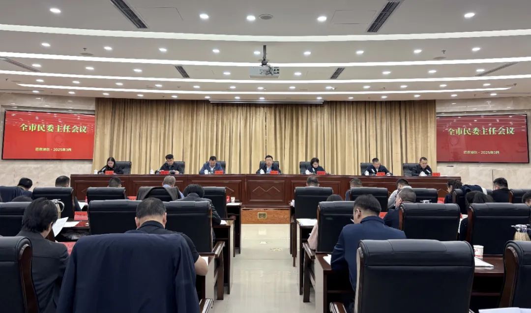 1742520226519030021.jpg auto