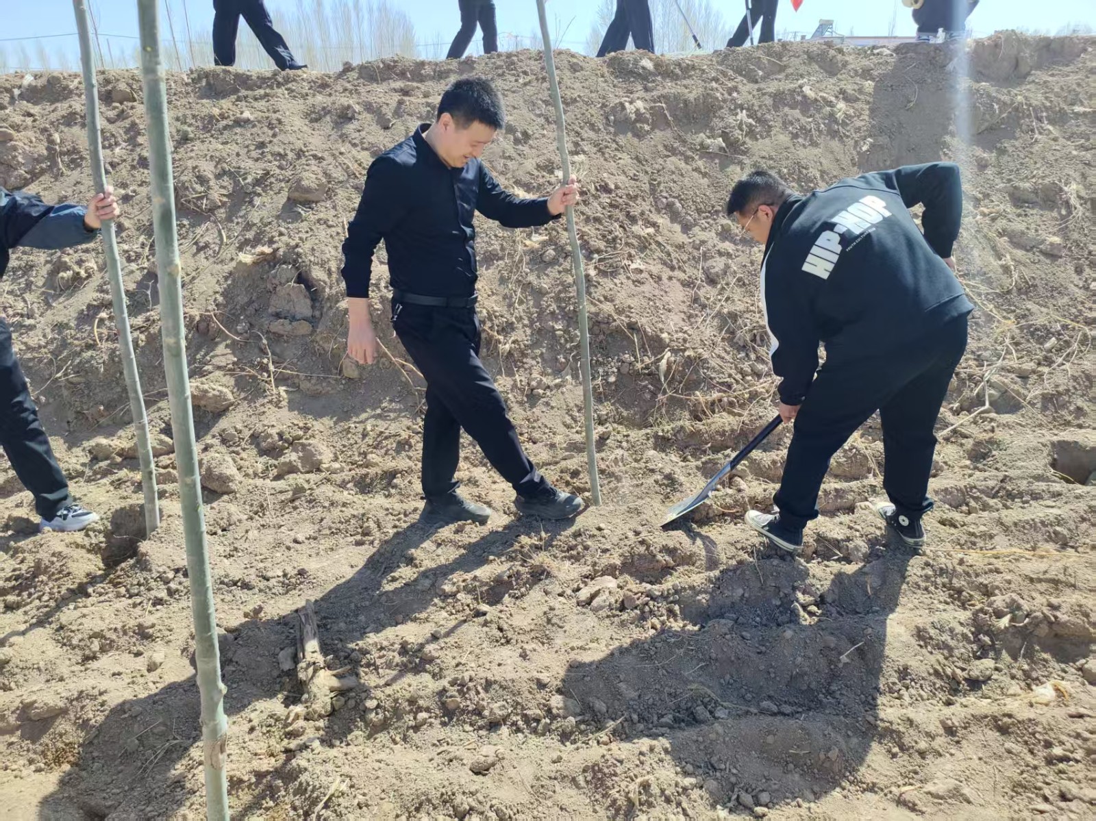 1744708474333005815.jpg 70216572b85fa6251cae60372df0286.jpg