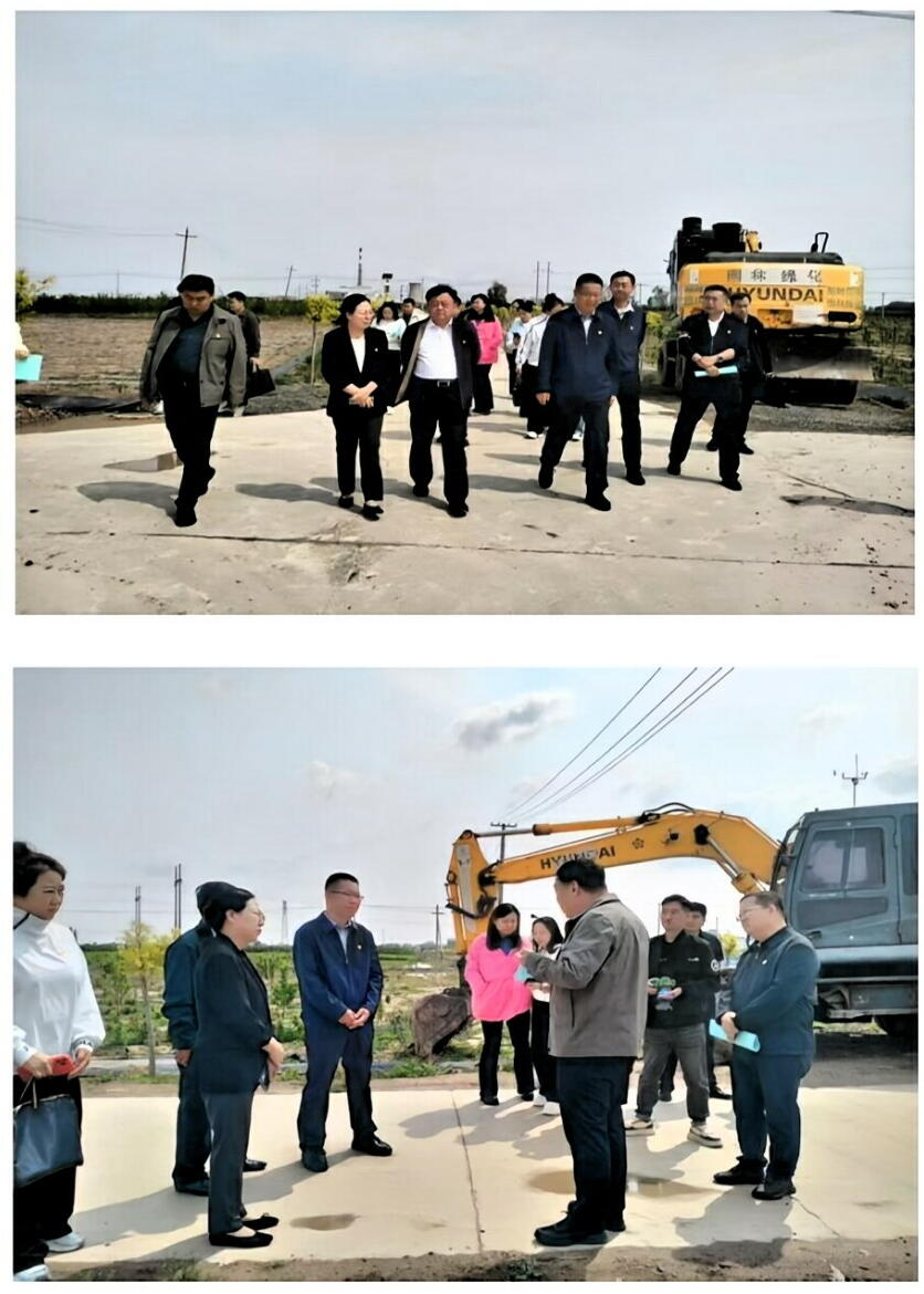 1748309110434013652.png 1png.png