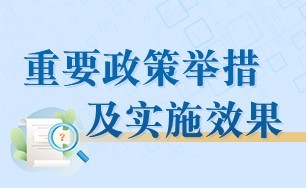 重要政策举措及实施效果
